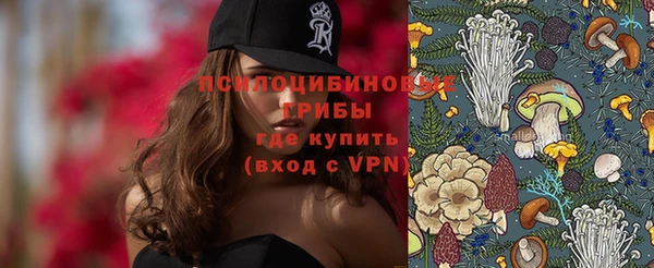 синтетический гашиш Ельня